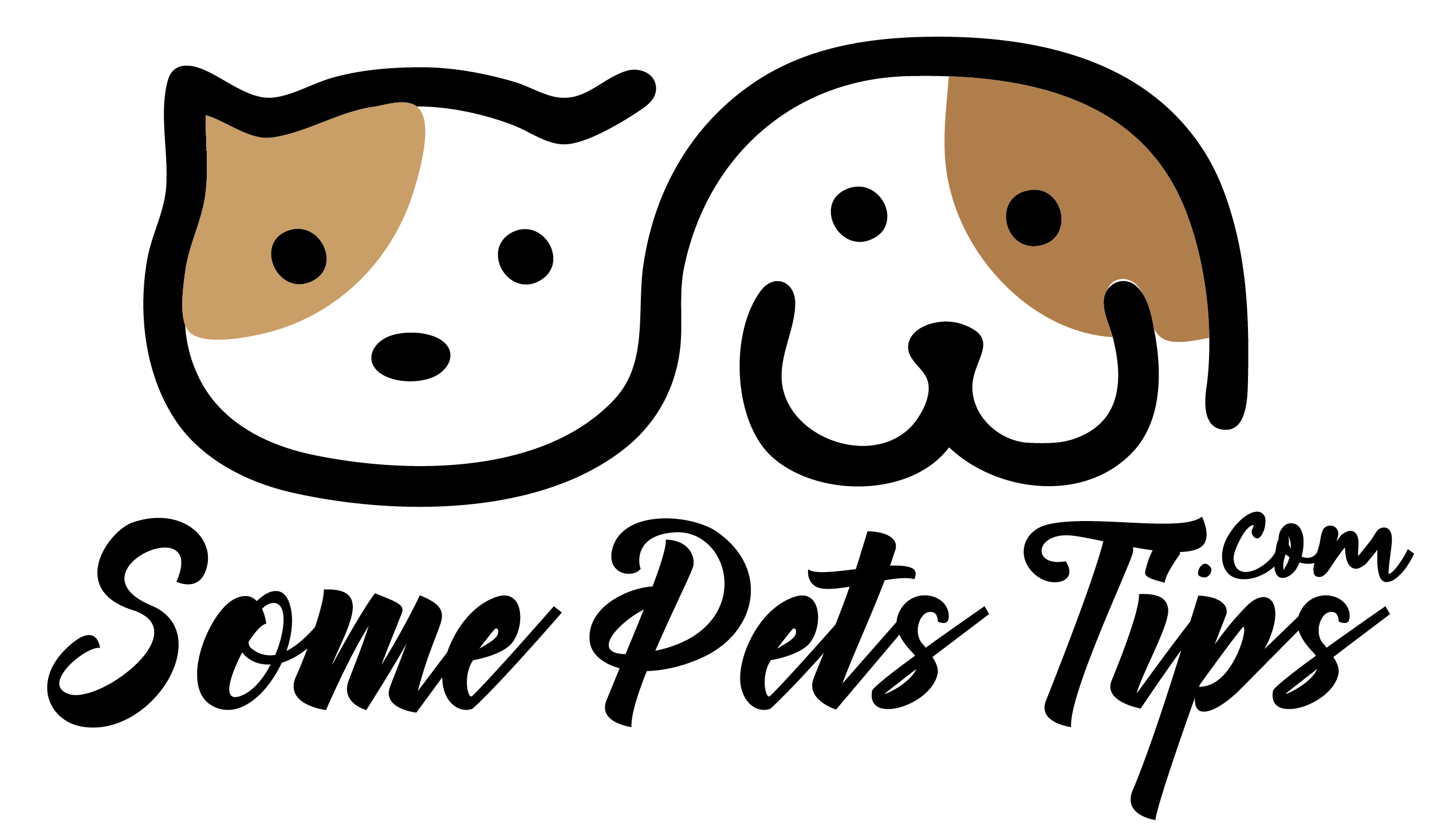 Some Pets Tips